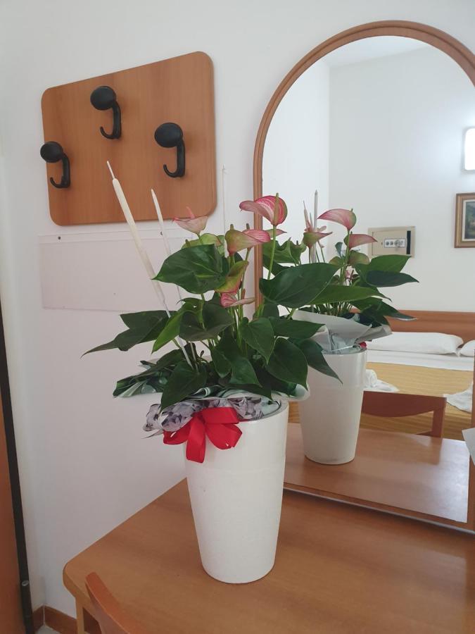 Hotel Venezia San Mauro Mare Εξωτερικό φωτογραφία